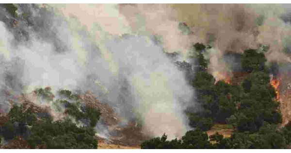 
              Wildfire smoke live tracker: Smoke plume forecast maps, air quality readings and more
            
