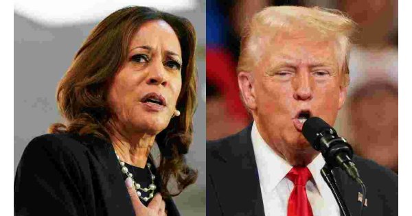 Donald Trump Privately Rants That Kamala Harris Is a ‘B***h’ as His Polls Plunge Donald Trump Privately Rants That Kamala Harris Is a ‘B***h’ as His Polls Plunge