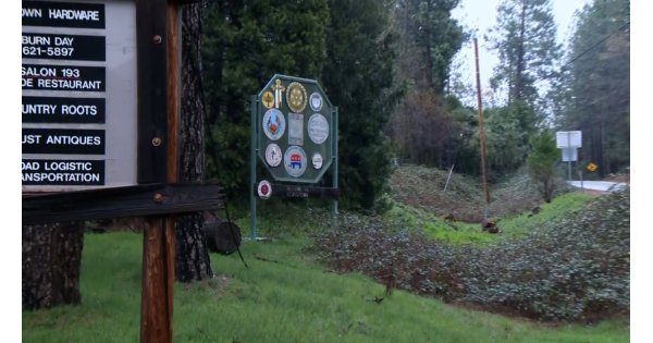 Mountain Lion Attack Leaves Man Dead and Brother Injured in California Mountain Lion Attack Leaves Man Dead and Brother Injured in California