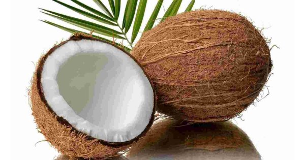 Coconut Meaning and Definition Coconut Meaning and Definition