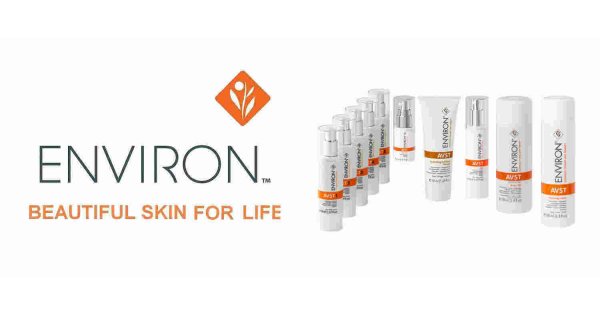 Environ Meaning and Definition