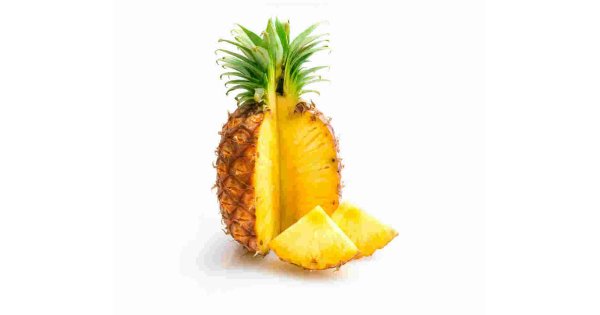 Pineapple Meaning and Definition