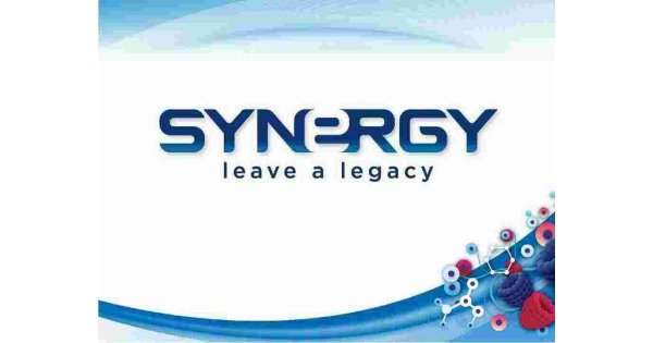 Synergy Meaning and Definition Synergy Meaning and Definition