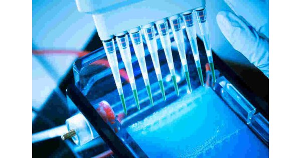 Synthesis Meaning and Definition Synthesis Meaning and Definition