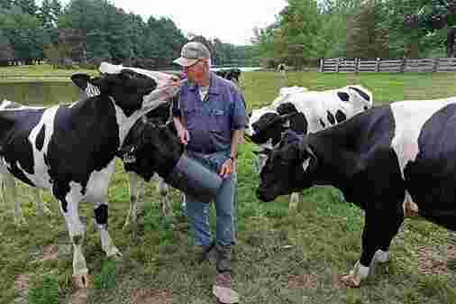 In Southern New England’s dairy heartland, bird flu is far down on the list of concerns