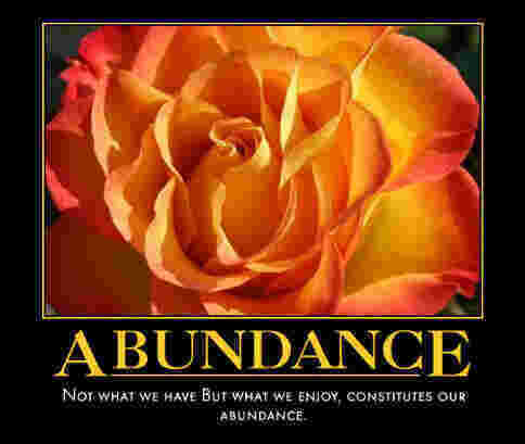 Abundance Meaning and Definition