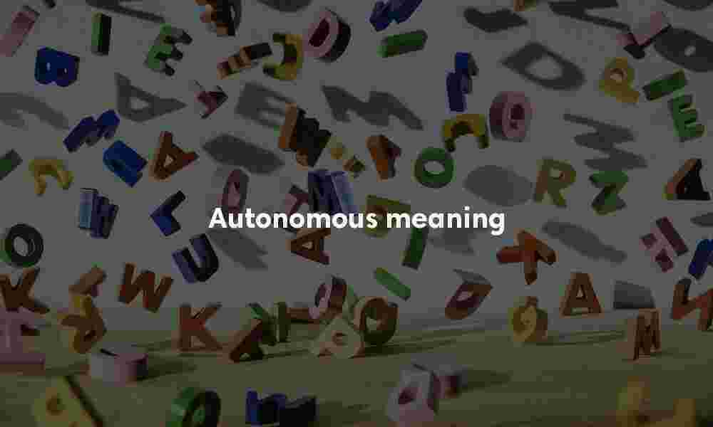 Autonomous meaning