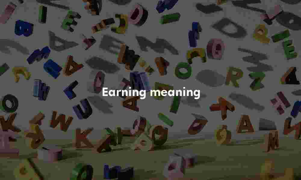 Earning meaning