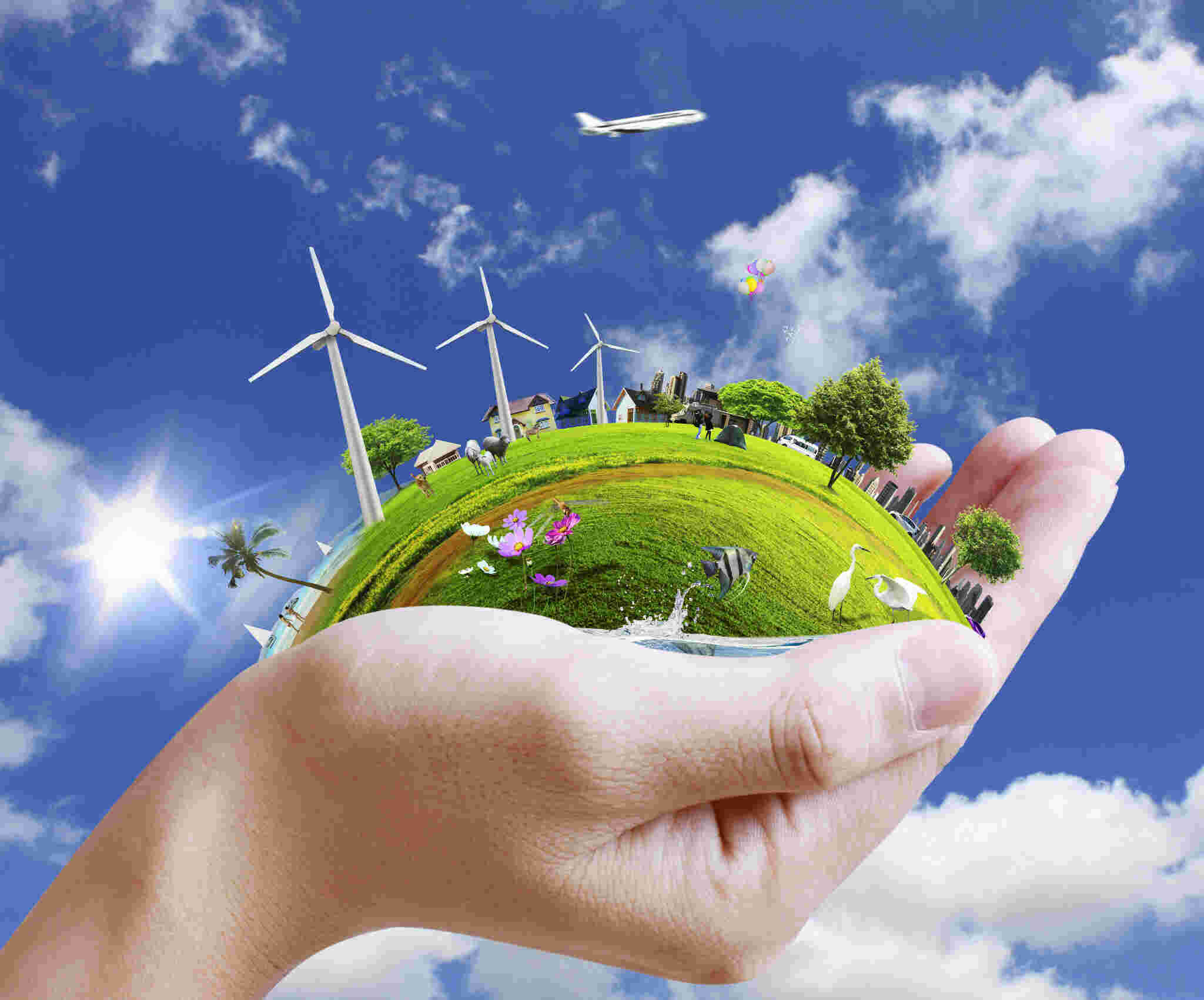 Environment Meaning and Definition