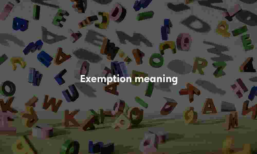 Exemption meaning