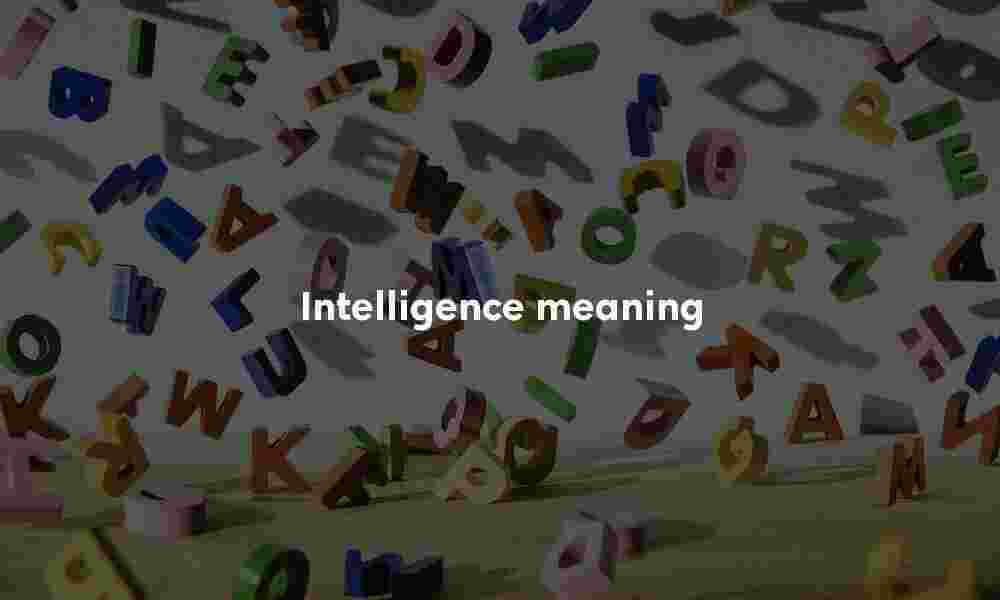 Intelligence definition Intelligence meaning