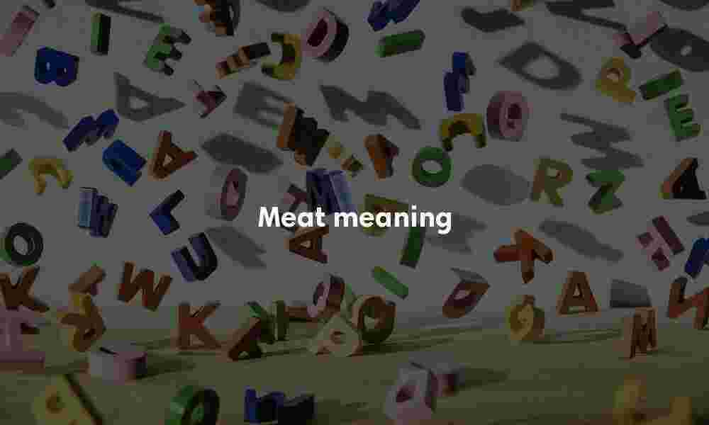 Meat definition Meat meaning