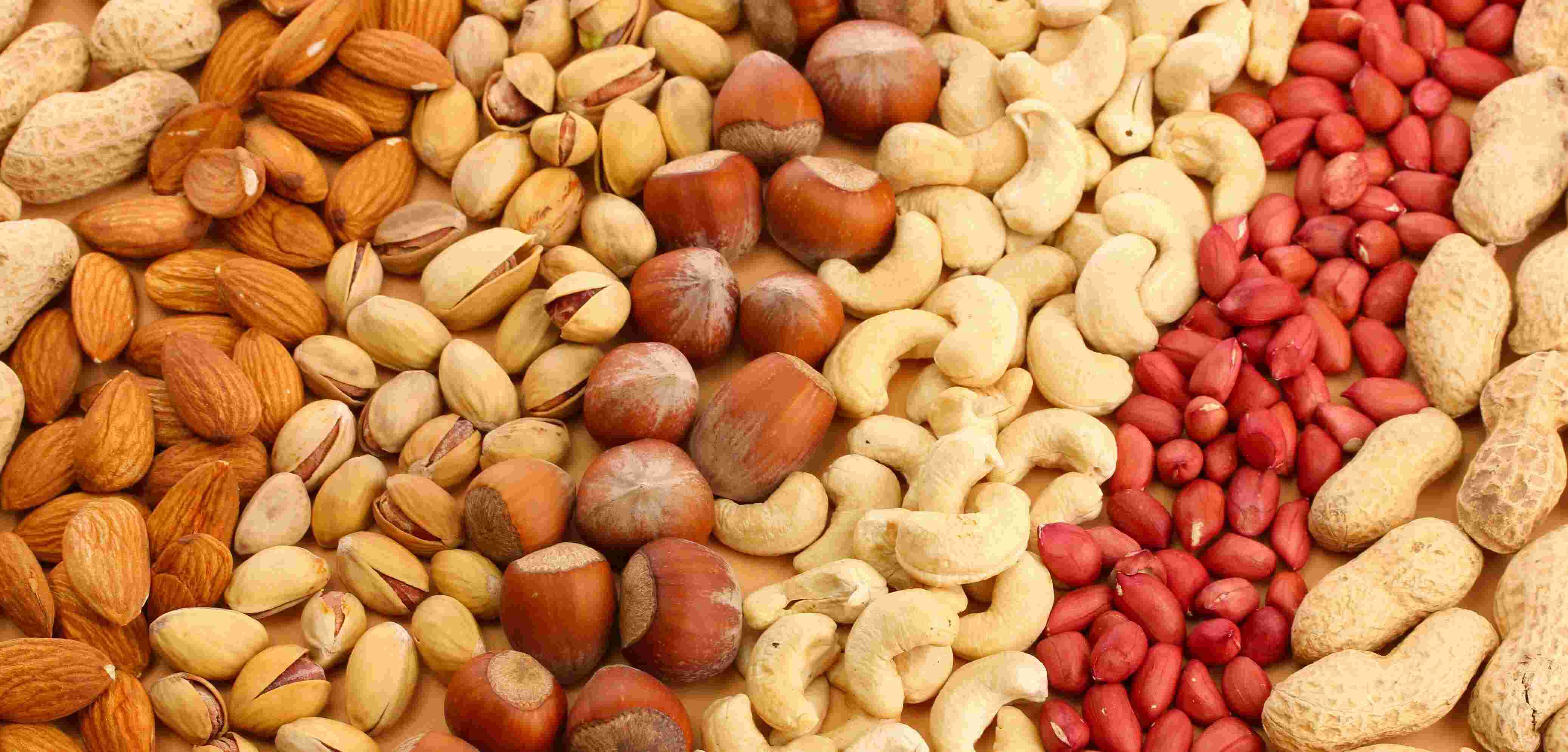 Nuts Meaning and Definition