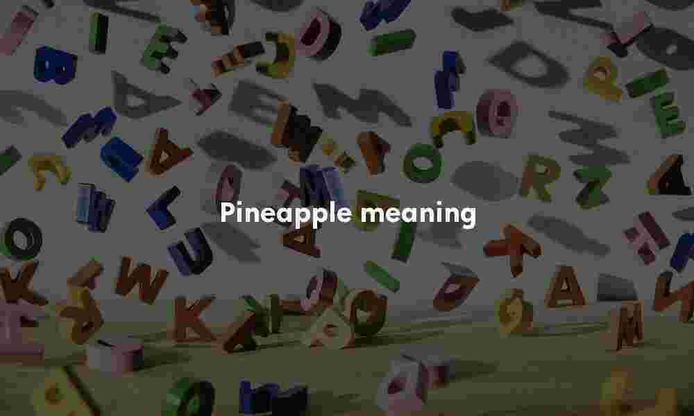Pineapple meaning