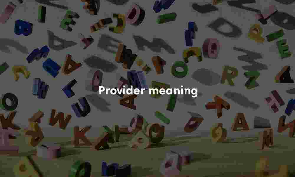 Provider meaning