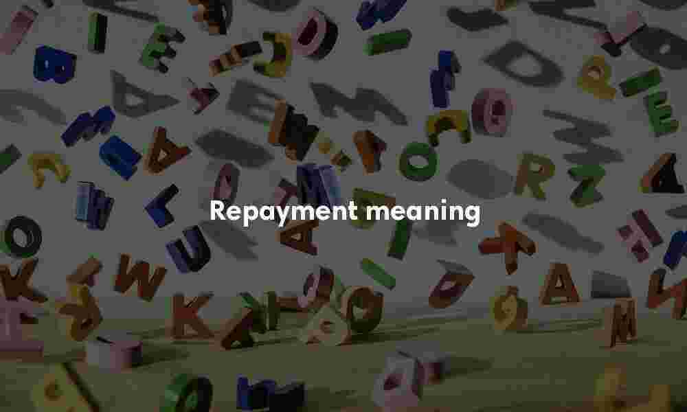 Repayment meaning