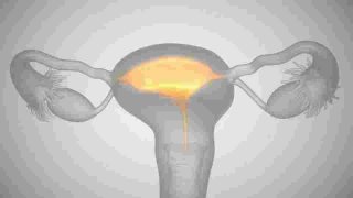 What to Do for Egg Growth in Women? Methods to Improve Egg Quality...