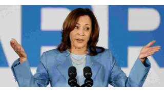 Kamala Harris’ record as prosecutor in California spells ‘trouble’ for presidential campaign: lawyer 