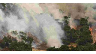 
              Wildfire smoke live tracker: Smoke plume forecast maps, air quality readings and more
            