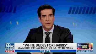 Fox Panel Loses Their Minds Over ‘White Dudes for Harris’ Fundraising Call