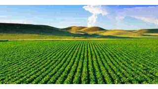 Agriculture Meaning and Definition