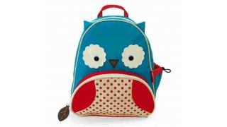Backpack Meaning and Definition