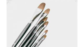 Brush Meaning and Definition