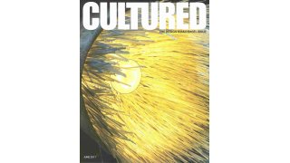 Cultured Meaning and Definition