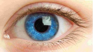Eye Meaning and Definition