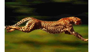 Fast Meaning and Definition
