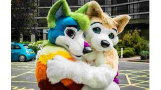 Furry Meaning and Definition