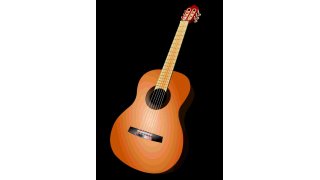 Guitar Meaning and Definition