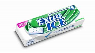 Gum Meaning and Definition