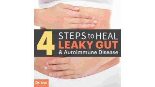 Gut Meaning and Definition