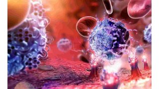Immunology Meaning and Definition