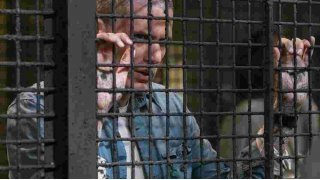 Imprisonment Meaning and Definition