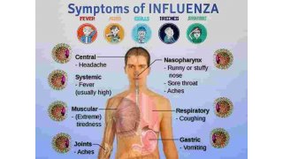 Influenza Meaning and Definition