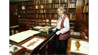 Librarian Meaning and Definition