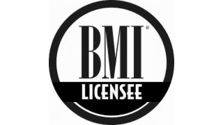 Licensee Meaning and Definition