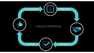 Lifecycle Meaning and Definition