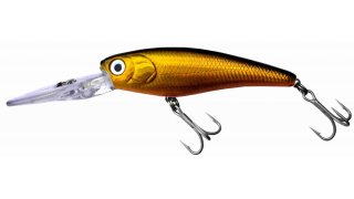 Lure Meaning and Definition
