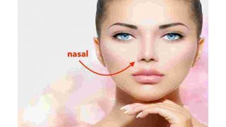 Nasal Meaning and Definition