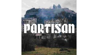 Partisan Meaning and Definition