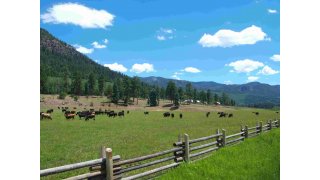 Rural Meaning and Definition
