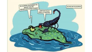 Scorpion Meaning and Definition