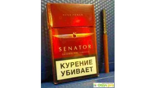 Senator Meaning and Definition