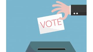 Vote Meaning and Definition