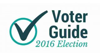 Voter Meaning and Definition