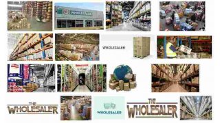 Wholesaler Meaning and Definition