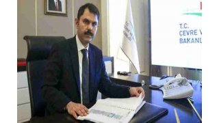 The mystery of mass fish deaths in Yeşilırmak
